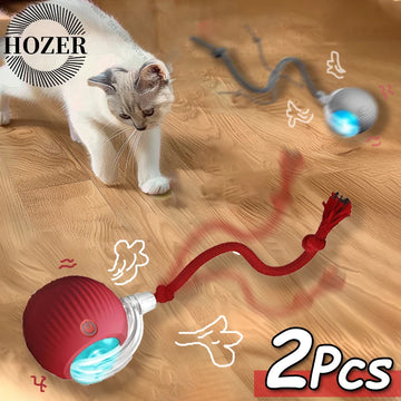 Interactive Rope Ball Toy