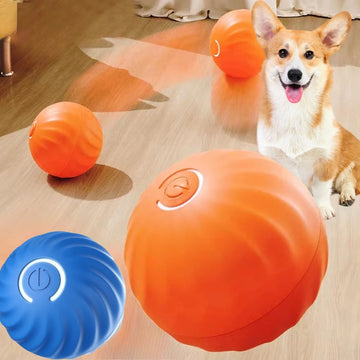 Smart Interactive Pet Ball